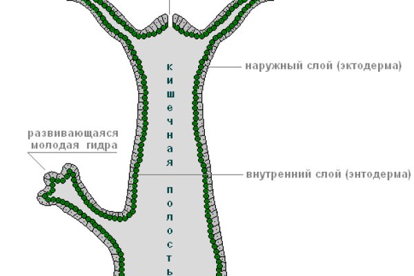 Кракен ссылка на тор официальная