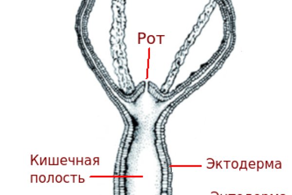 Что такое кракен плейс