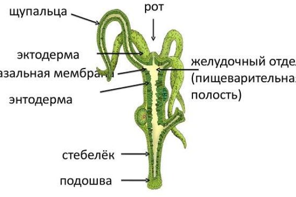 Кракен наркошоп ссылка