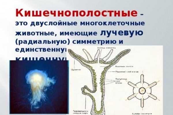 Кракен торговая kr2web in